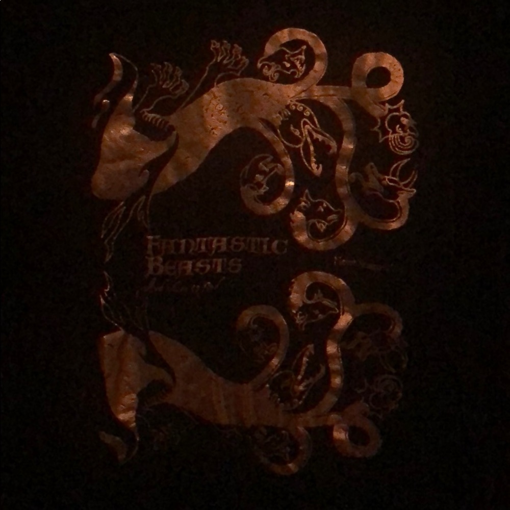 Fantastic Beasts. - Picture 2 of 5